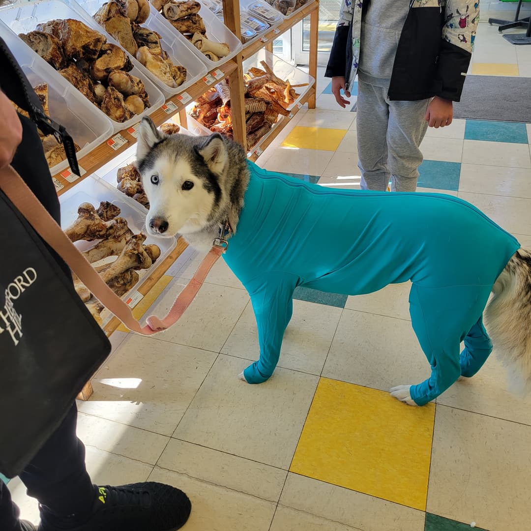 sliderImage
