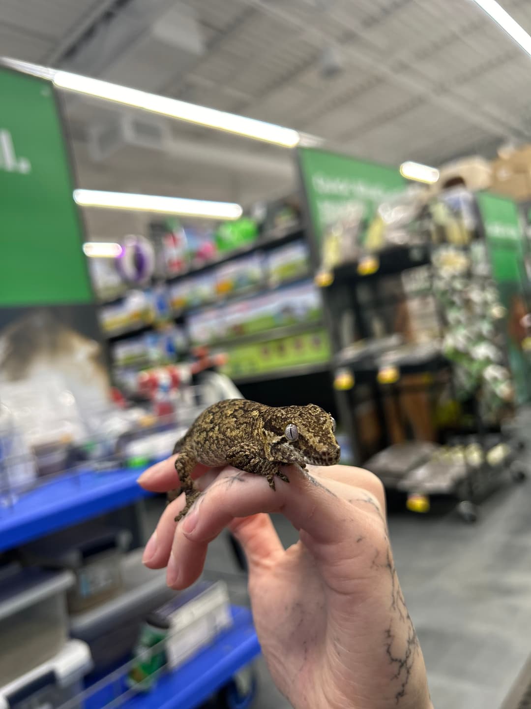 sliderImage