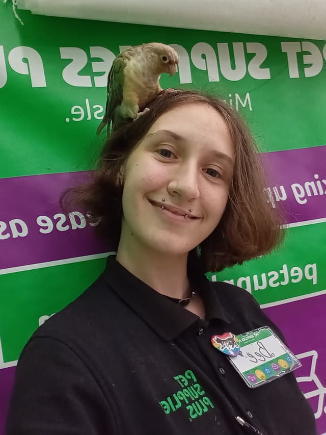 memberImage